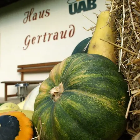 Haus Gertraud *
